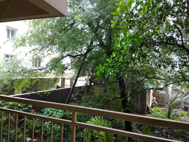 2 BHK Airconditioned Apartment in Urwa, Mannagudda