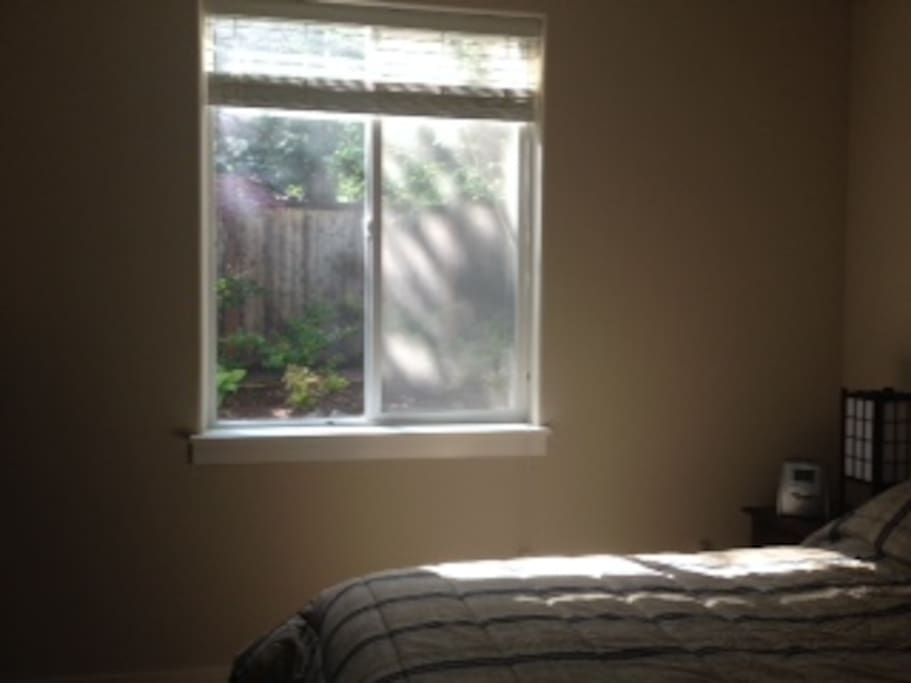 View from the Bedroom