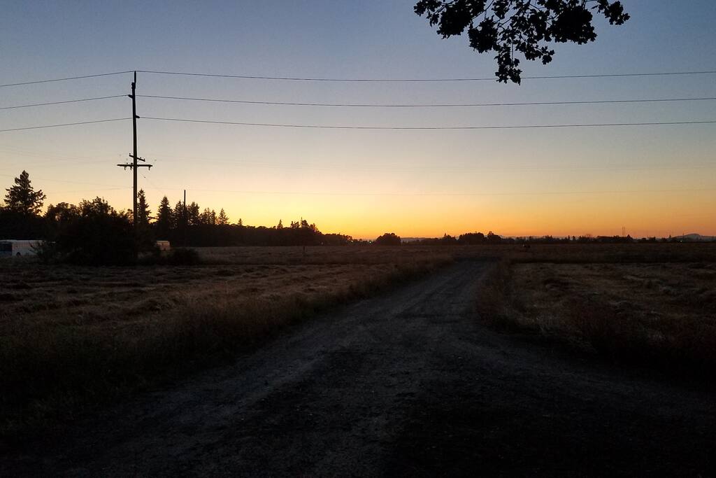 Evening sunset