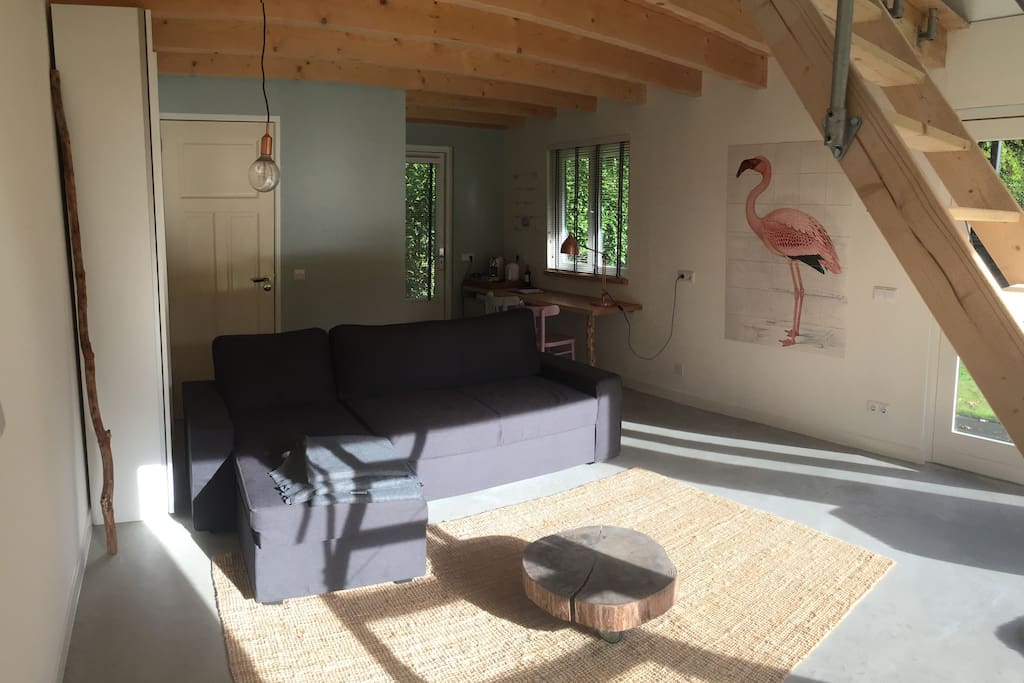 Living Area. The couch can be easily turned into a sofa bed.