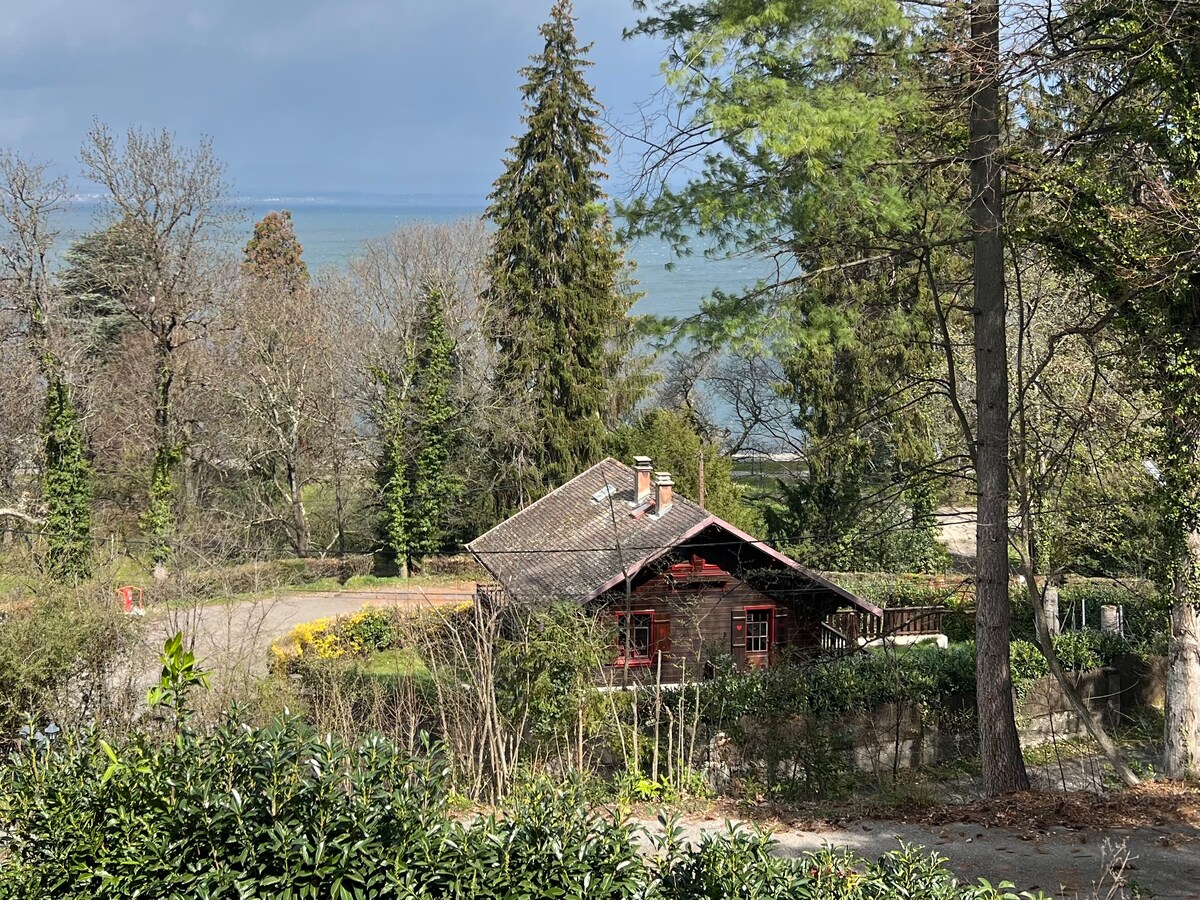 A charming chalet nestled among trees, overlooking serene water. The building features a traditional wooden design with red window frames and a sloping roof. Surrounding greenery adds to the natural setting, while a path leads towards the waterfront in the background.