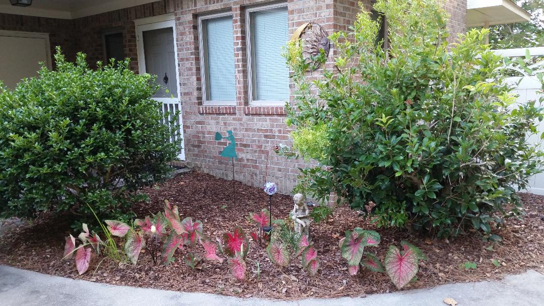 A well-maintained garden area is featured in front of a brick exterior. Lush green bushes and colorful Caladium plants line the ground. Decorative garden elements, including a light fixture and a small statue, are integrated into the landscape, enhancing the inviting appearance.