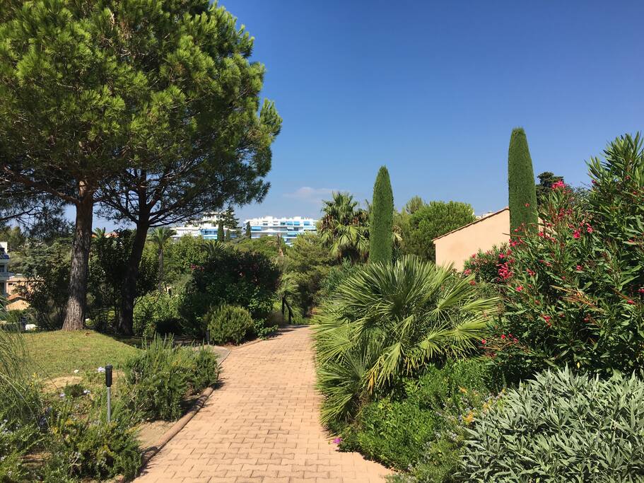 THE MAIN ALLEY