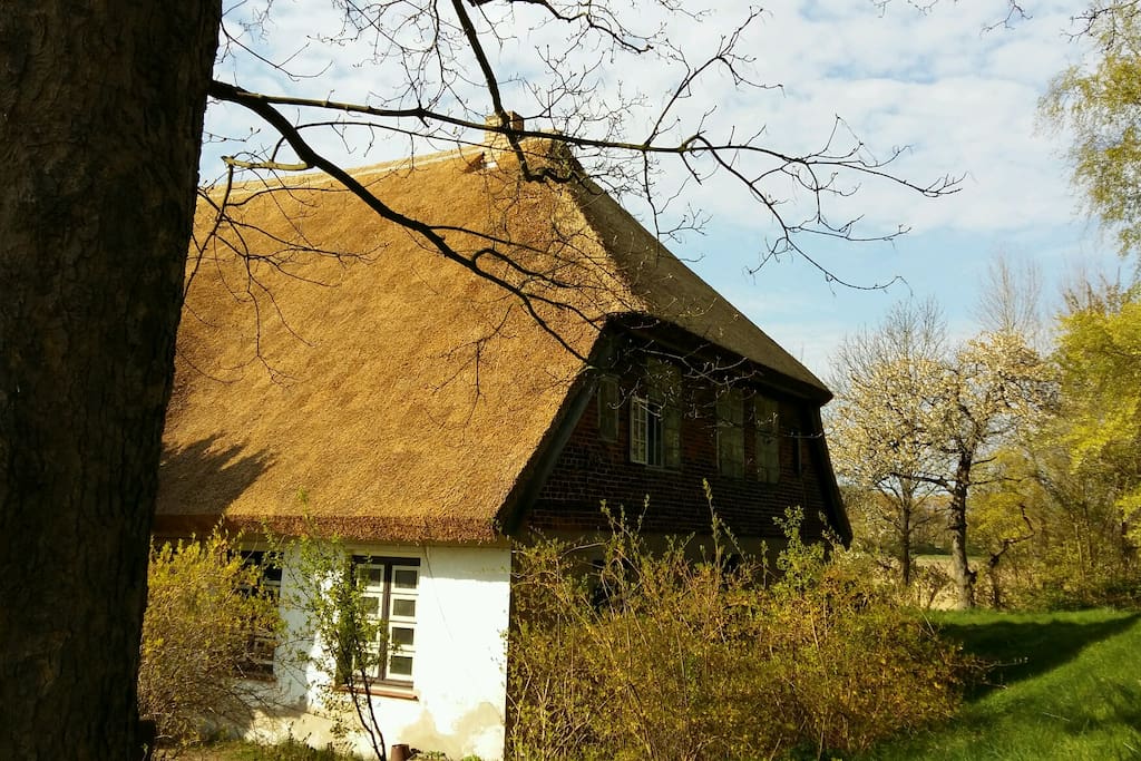 Pfarrhaus, Seitenansicht vom Garten aus