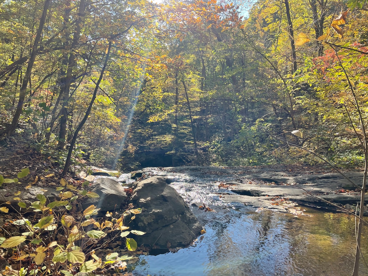 A serene creek flows gently through a wooded area, surrounded by vibrant autumn leaves. Sunlight filters through the trees, creating a warm glow over smooth rocks along the water's edge. The peaceful landscape invites relaxation and reflection in nature.
