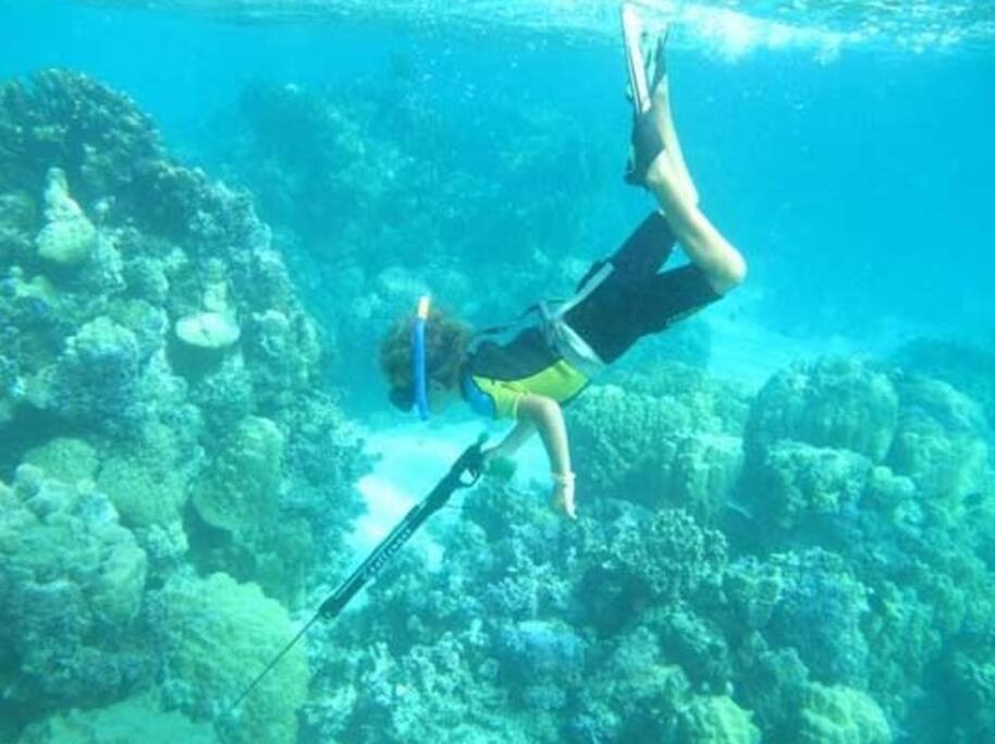 A 50 mètres de chez nous promenade sous l'eau au milieu des multiples poissons