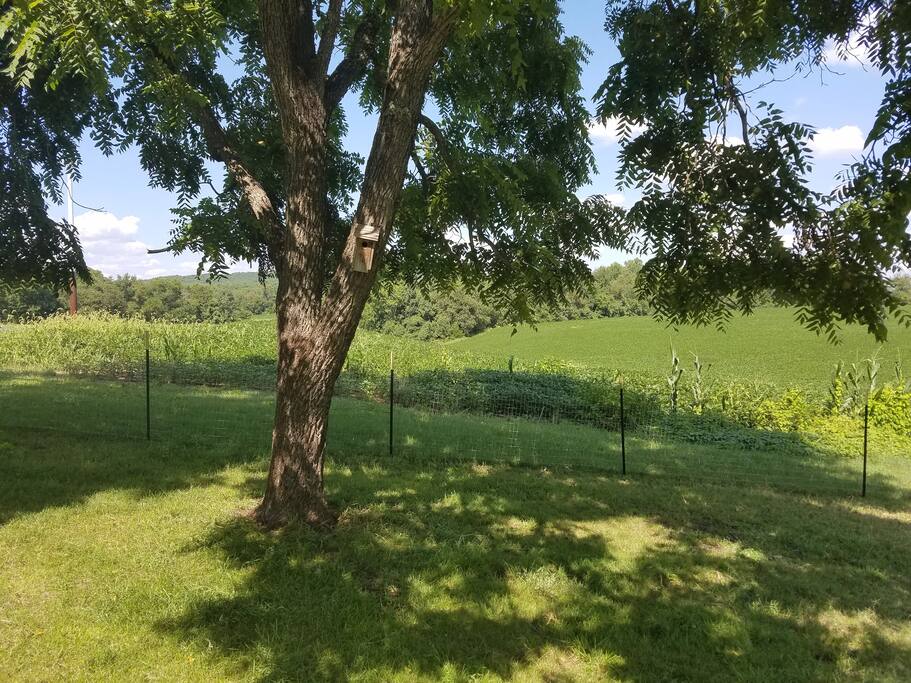 Fresh air and green acres!