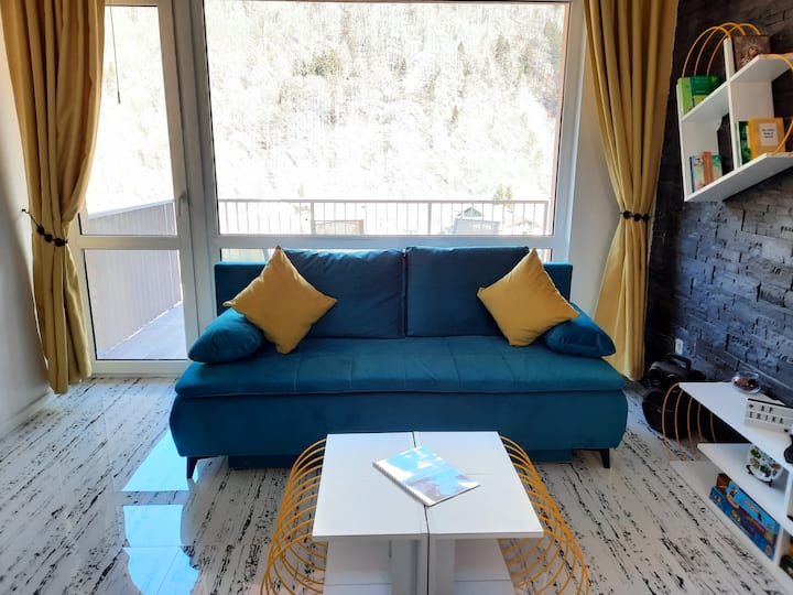 Apartament +Acces Piscină îNcălzită, Parcare - Sinaia
