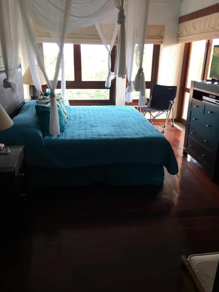 主卧明亮、舒适、舒适。 