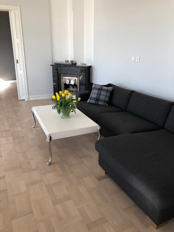 10 Best ShortTerm Rentals In Oslo, Norway Updated 2024 Trip101