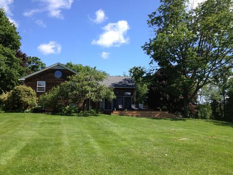 A Yard in the Country