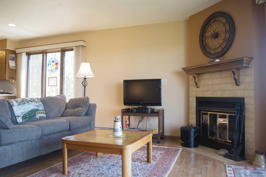 Wood burning fireplace and wood is supplied
