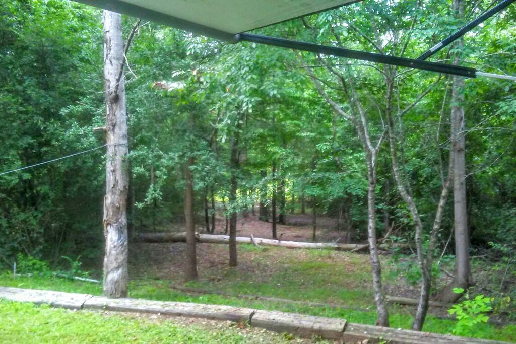 A quiet wooded trail on property that leads to some great fishing spots on Lake Hartwell!