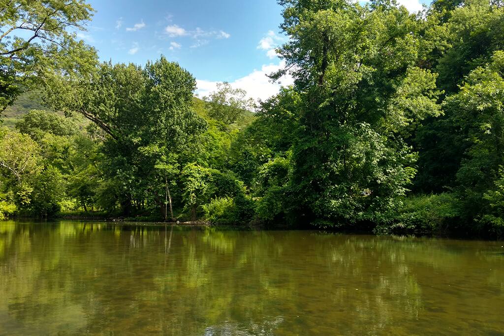CREEK IN BACKYARD