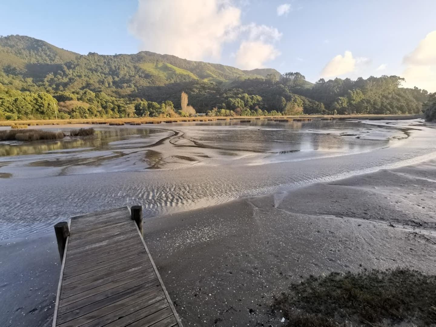 Kōtuku Cottage - Spacious Seclusion By The Water 3