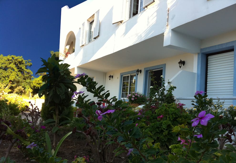 Front Garden