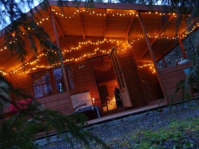 Wooden Cabin in the Forest