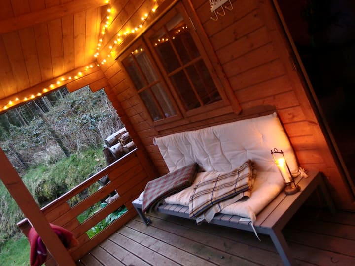 Welsh Forest Cabin photo 2