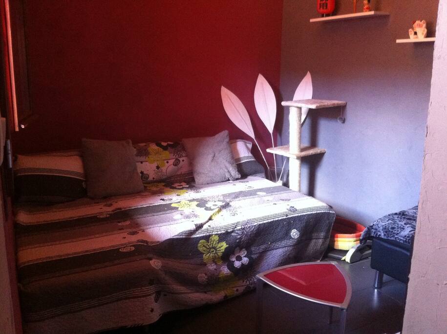 Petit salon avec télé