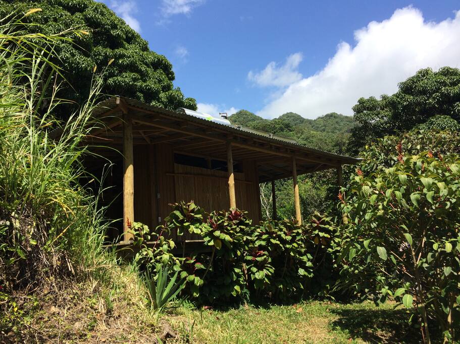 Casa del Mundo Puerto Rico Rain Forest Retreat Houses for Rent in