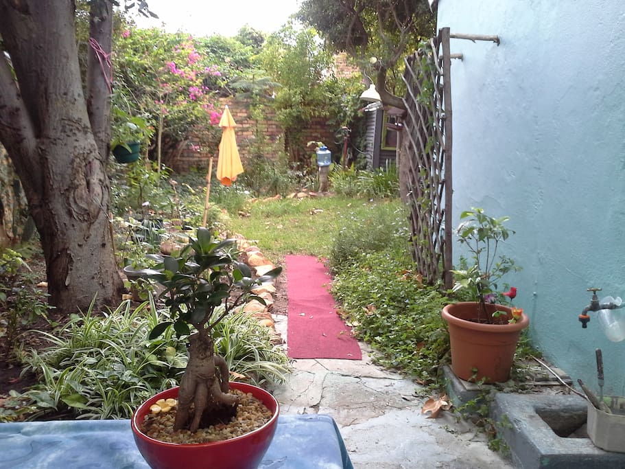 Garten von der Stoep aus
