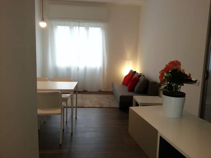 Nice Design Flat  And Private Garden - Rozzano