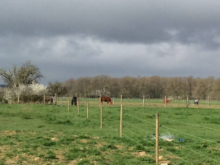 Vue dégagée sur plusieurs kilomètres ,possibilité de balade à cheval en forêt,ainsi que des stages d'équitation pour enfant,débutant et cavaliers expérimentés dans le centre équestre voisin.