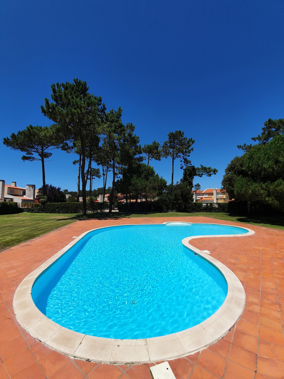 A large outdoor swimming pool is framed by a tiled patio, surrounded by lush green lawns and tall trees. The clear blue water reflects the bright sky, providing a serene setting for relaxation.