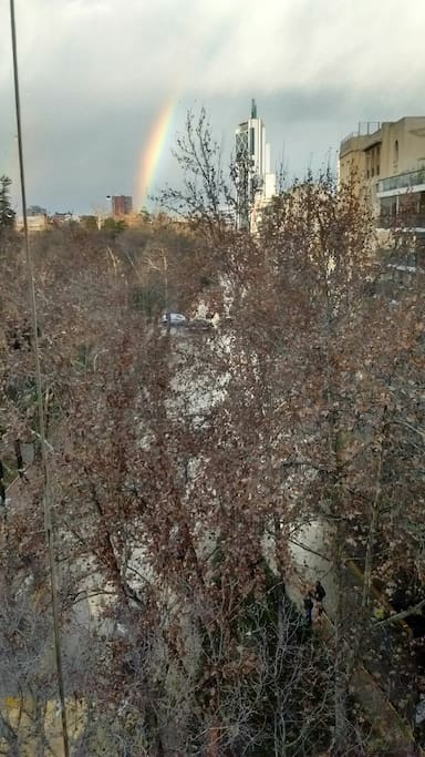Winter view from the room