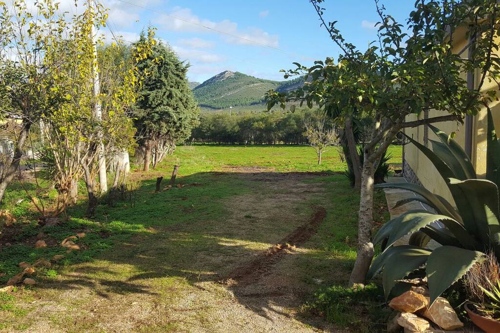 Campagna