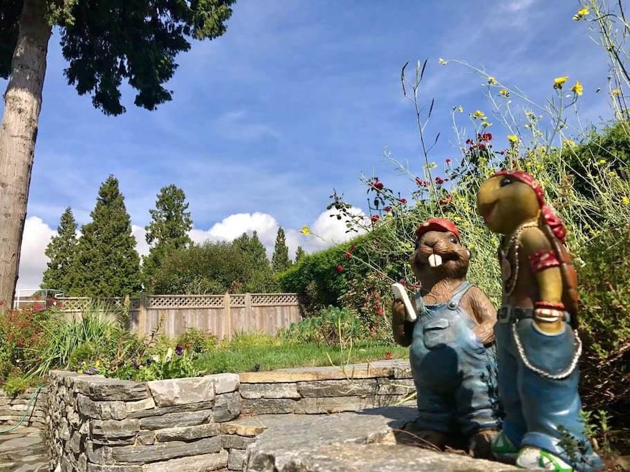 Garden.私密后花园