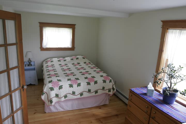 Downstairs bedroom