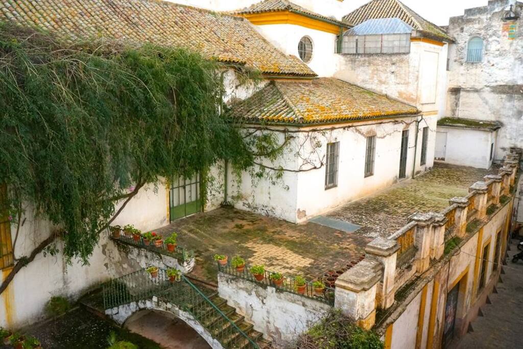 Vistas al Palacio de los Duques de Medinacelli s.XVI