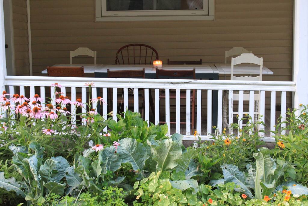 BrooksideMiniFarm Lake Acces Houses for Rent in Hague, New