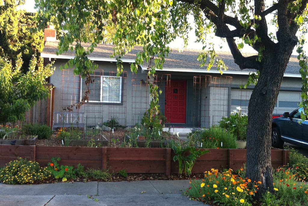 Front Yard/Garden