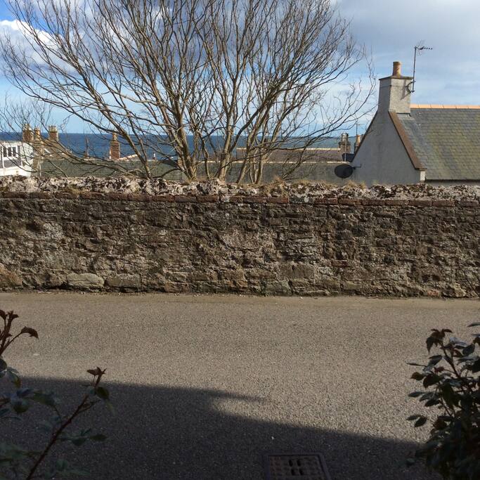 View from the cottage window