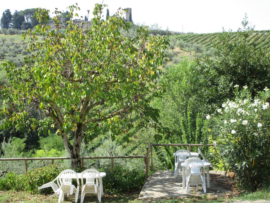 Giardino