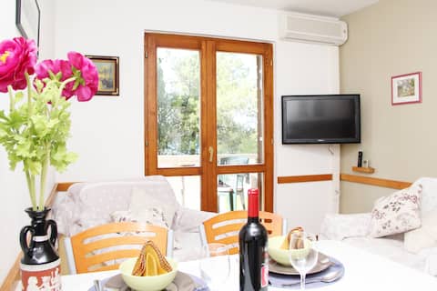 Top performing Airbnb: Cozy 1BD with seaview,park&wifi #1 in Arbanija