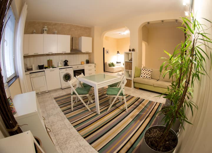 City Center, Spacious 3+br, 2 bath apartment