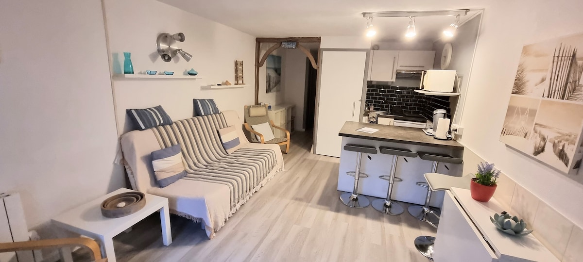 The living area features a convertible sofa adorned with striped throws, complemented by a compact kitchen with modern appliances. Light wood flooring enhances the brightness of the space. A small dining area is situated near a sliding door, while decorative elements add a touch of warmth.