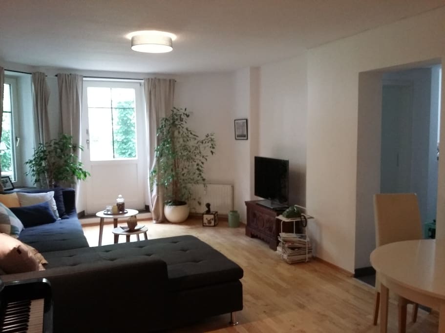 Wohnzimmer/living room