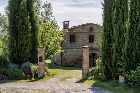 Podere Corniuzza  - Girasole