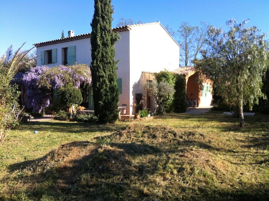 Entrée de la maison et terrasse couverte par la glycine
