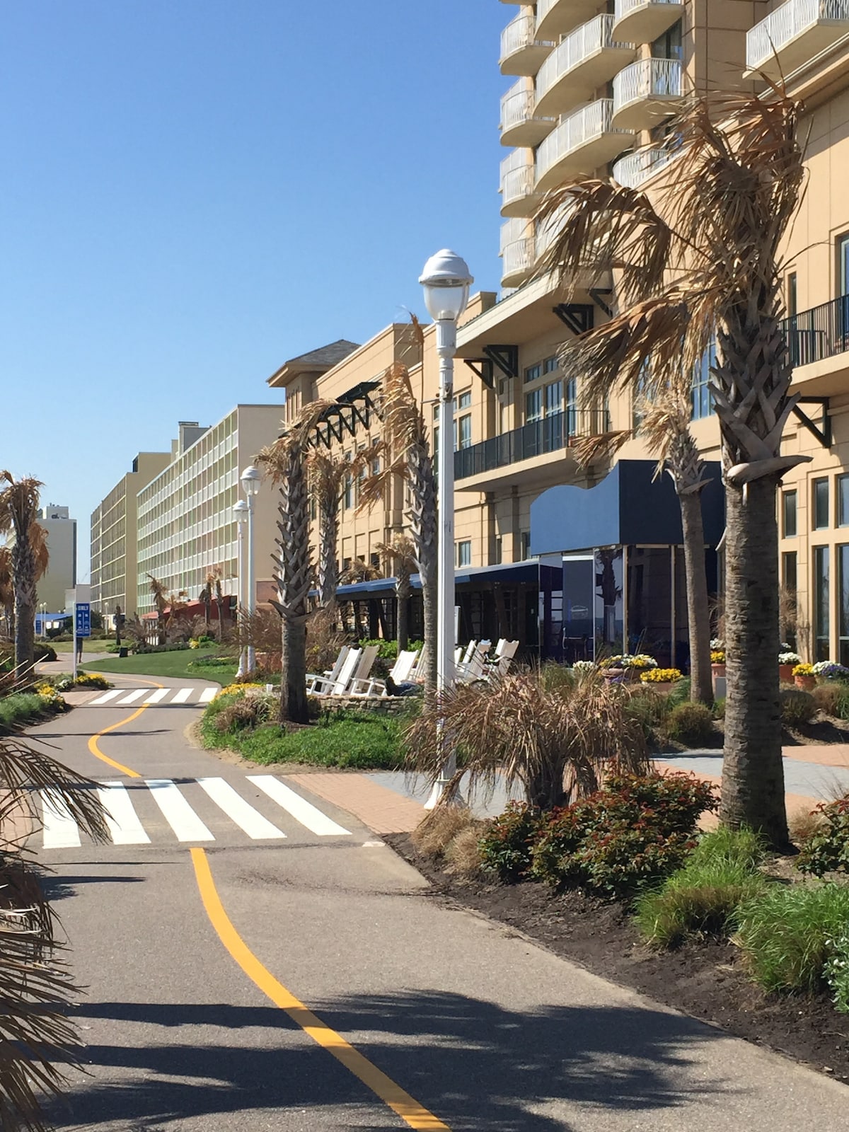 A scenic walkway is lined with swaying palm trees and vibrant flowers, leading past building facades. Outdoor seating is available, inviting visitors to take a break. The path is marked with a yellow line, guiding pedestrians along the beachfront area under a clear blue sky.