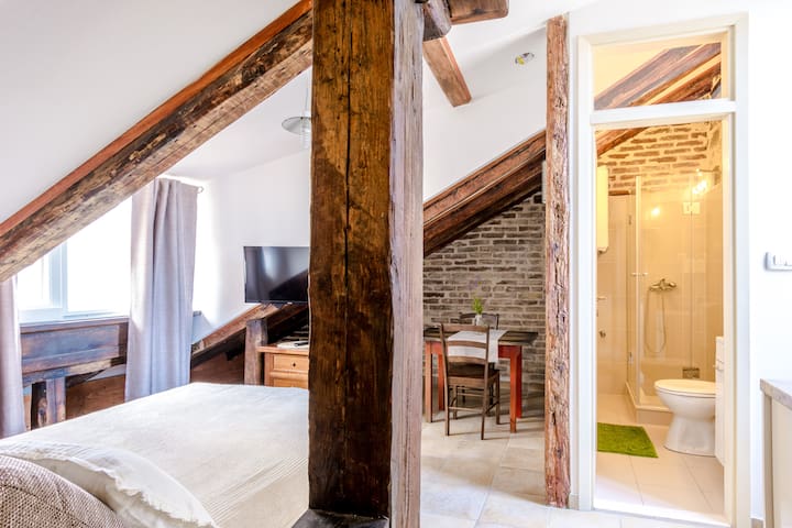 Attic studio in old town