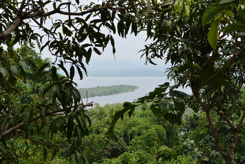 VIEW FROM GUEST HOUSE