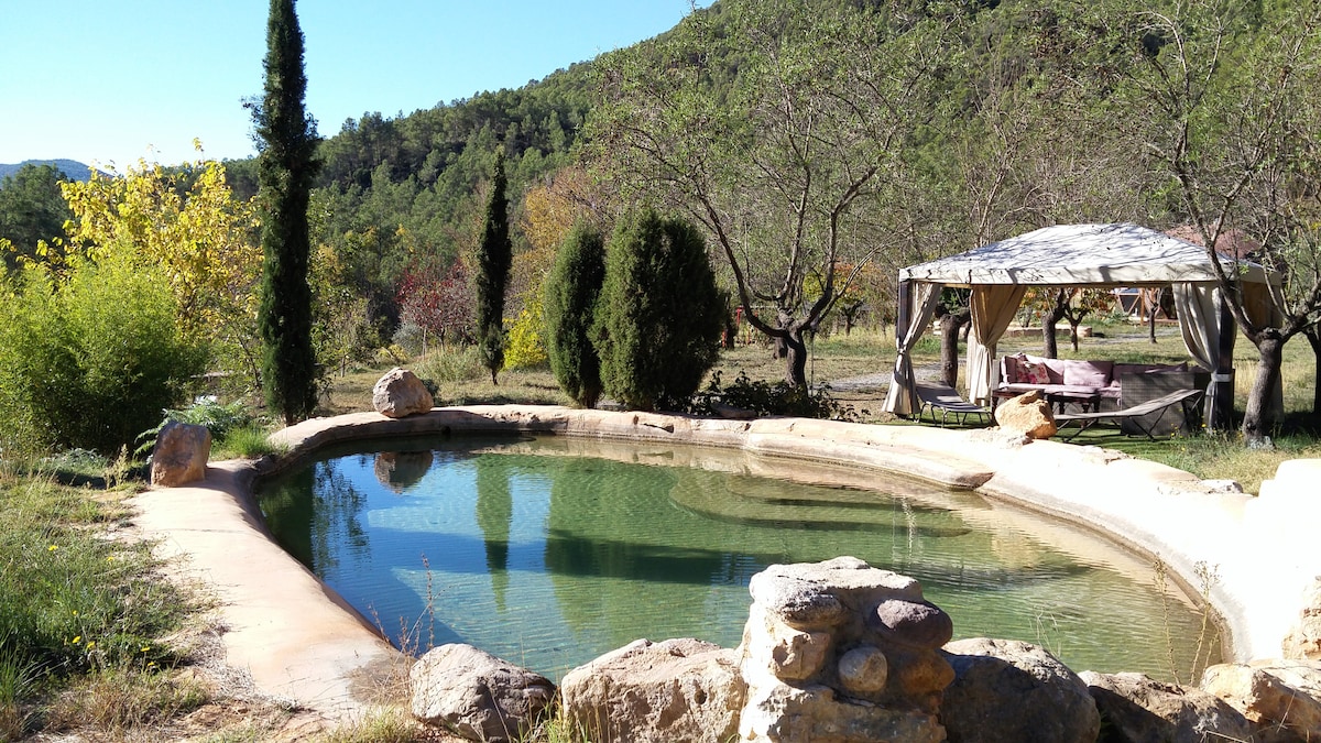 A natural swimming pool surrounded by lush greenery and trees. A shaded seating area with draped fabric is visible nearby, providing a tranquil spot to relax. The landscape includes vibrant foliage, enhancing the serene outdoor environment.