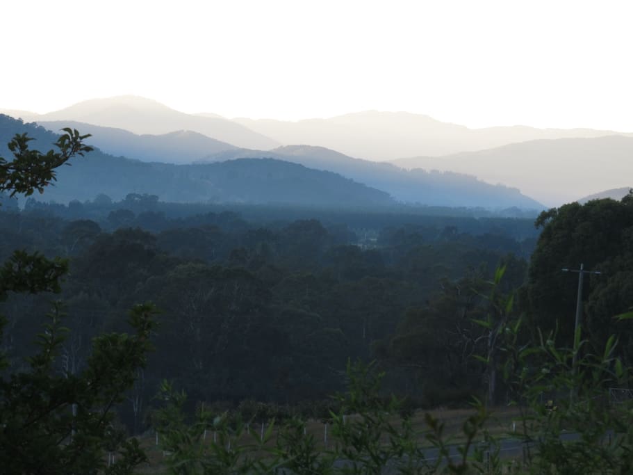 View from the house towards Mt Bogong