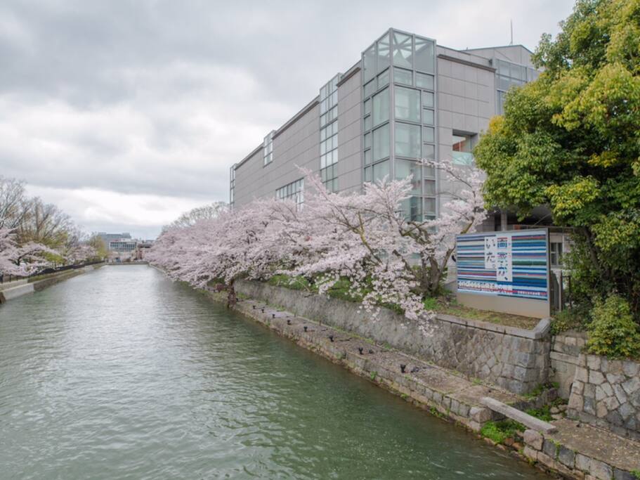 艺术到厕所的美术馆 京都国立近代美术馆 京都旅游攻略 尽在airbnb爱彼迎 艺术到厕所的美术馆 京都国立近代美术馆 京都旅游攻略 尽在airbnb爱彼迎
