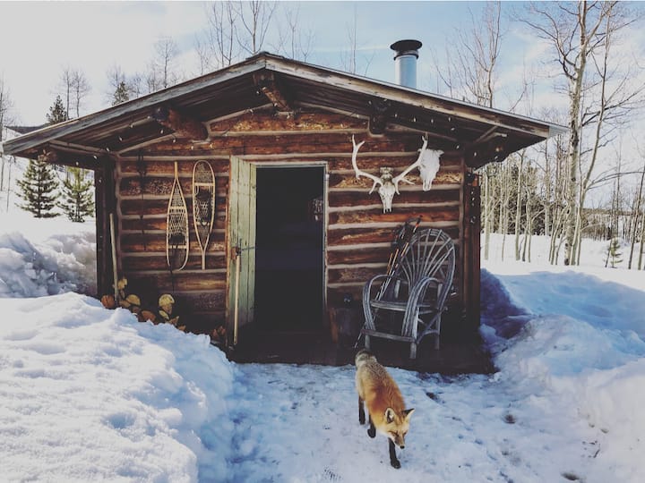 Trapper Cabin Cabins for Rent in Walden, Colorado, United States Airbnb